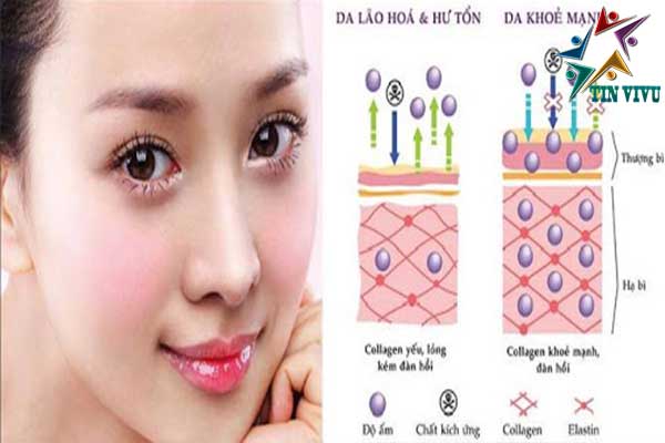 Collagen-Youtheory-Type-1-2-3-My-co-tot-khong